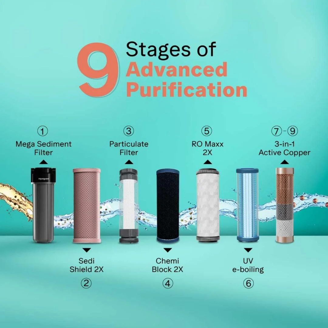 Eureka Forbes Aquaguard Enrich 6