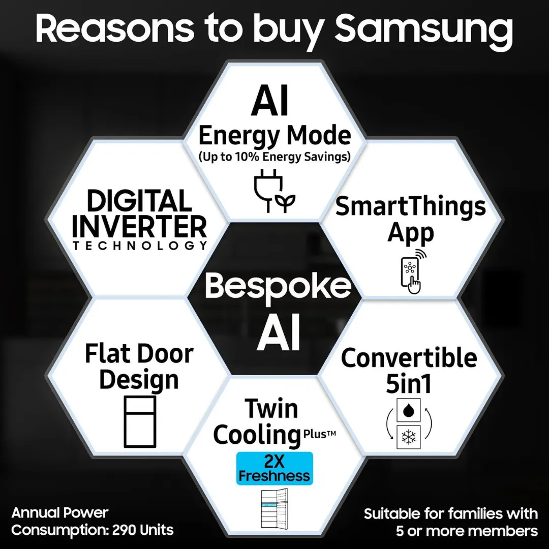 Samsung 419L, 2 Star, 2