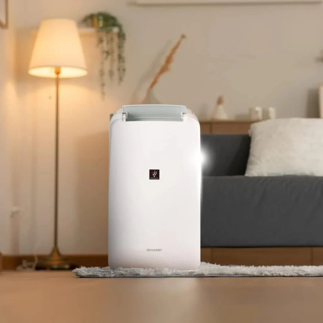 Sharp Electric Dehumidifier with Moisture Absorber and Clothes Dryer for 250 sq ft Rooms