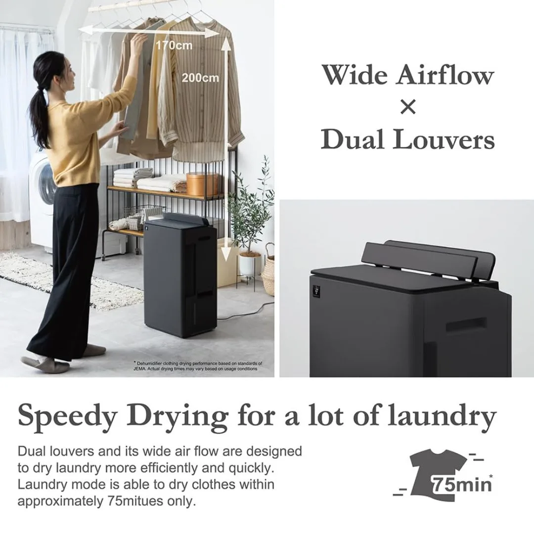 Sharp DW-T30FM-H Dehumidifier with 8