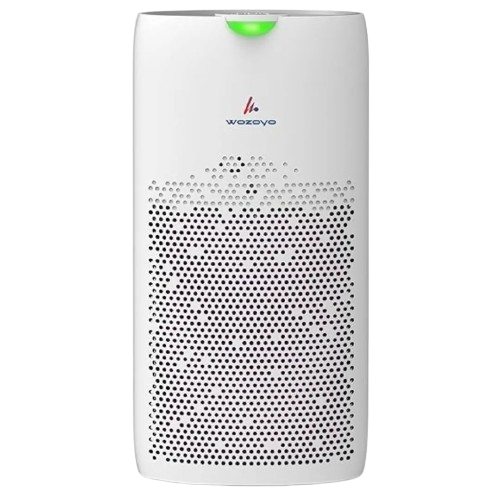 wozoyo Pure Air PA5 Smart Air Purifier Front View White Design