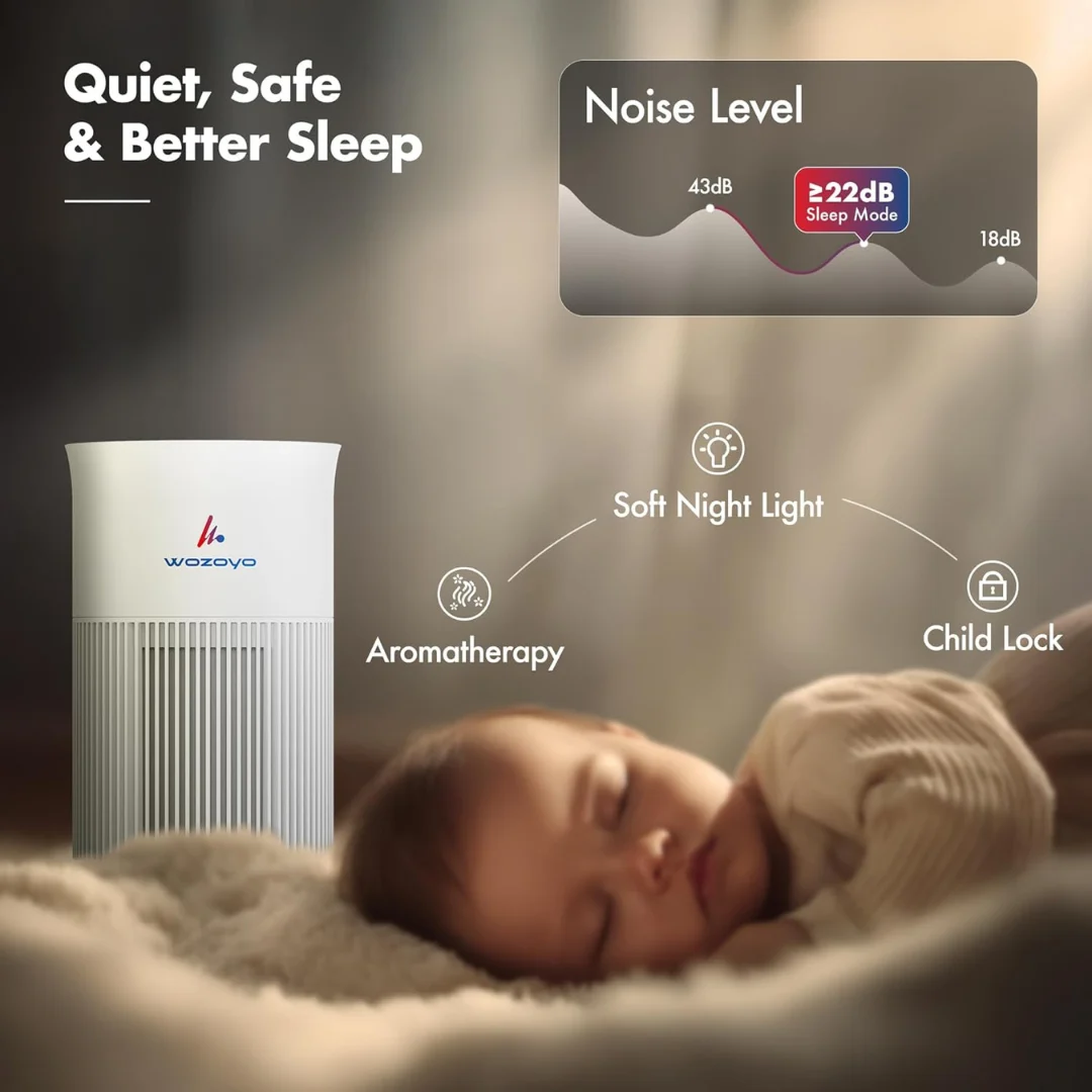 wozoyo smart air purifier removes pm2.5 smoke and dust